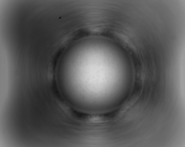 X0000092300710200709211231