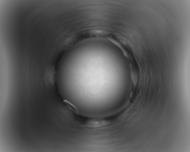 X0000092300712200709211231
