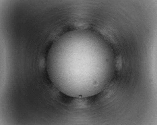 X0000092300713200709211231