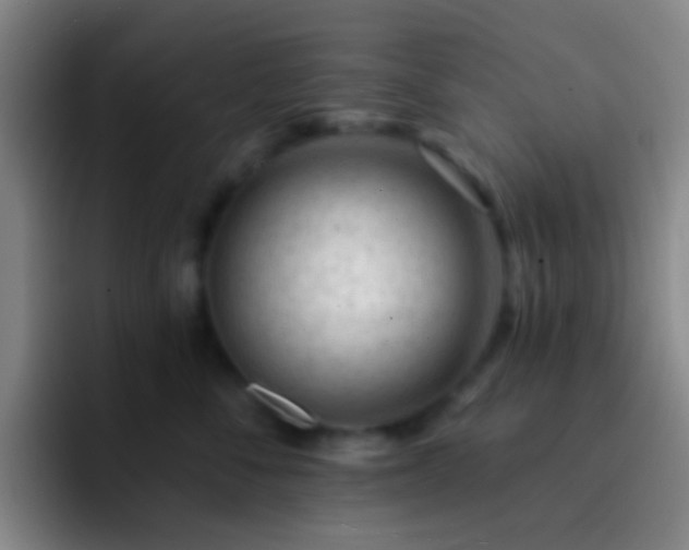 X0000092300716200709211231