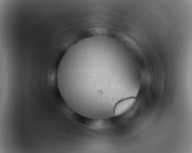 X0000092300717200709211231