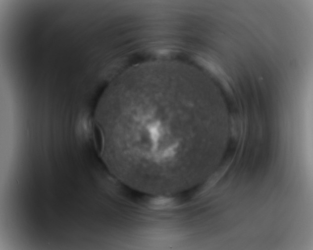 X0000092300718200709211231