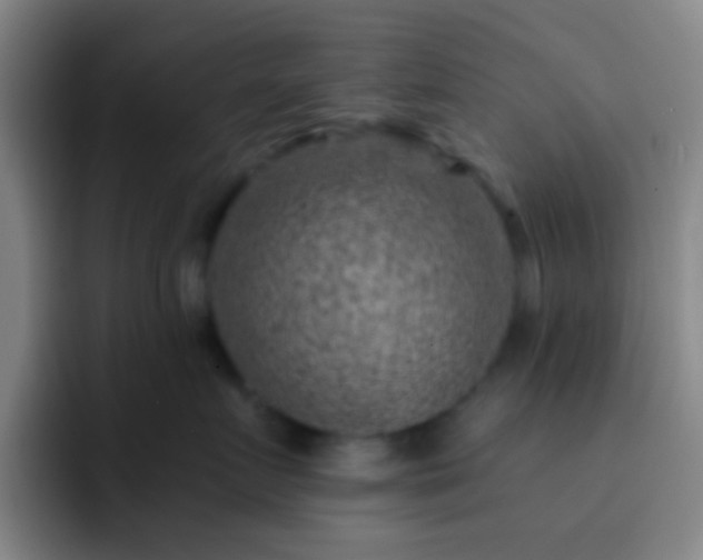 X0000092300719200709211231