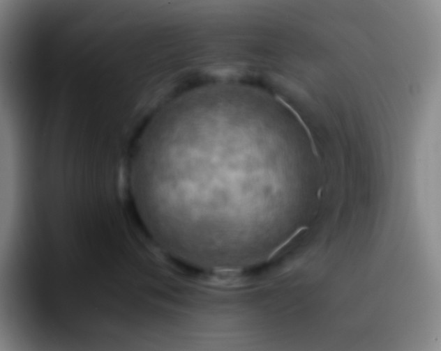 X0000092300720200709211231