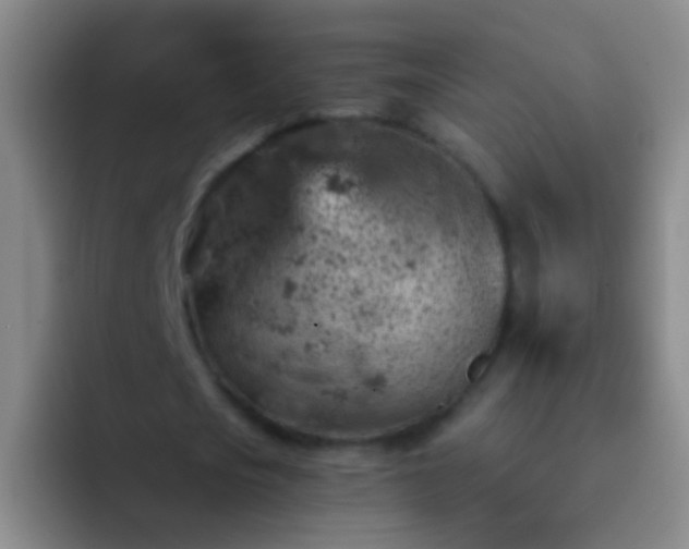 X0000092300721200709211230