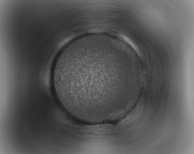X0000092300724200709211230