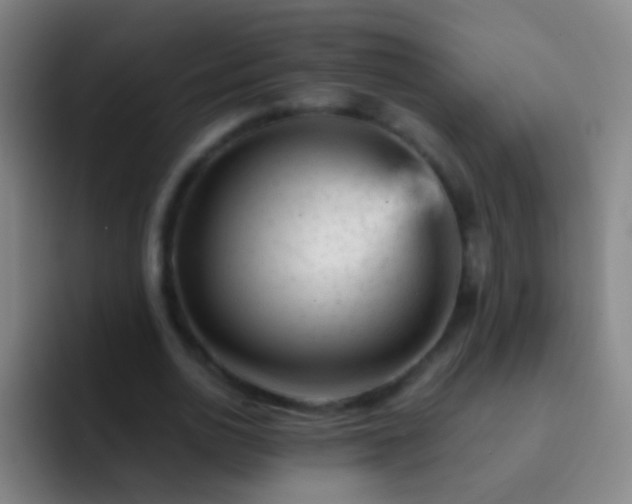X0000092300726200709211230