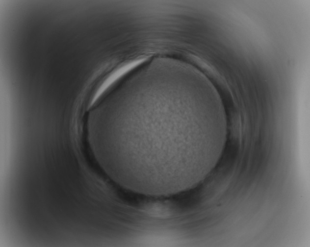 X0000092300731200709211231