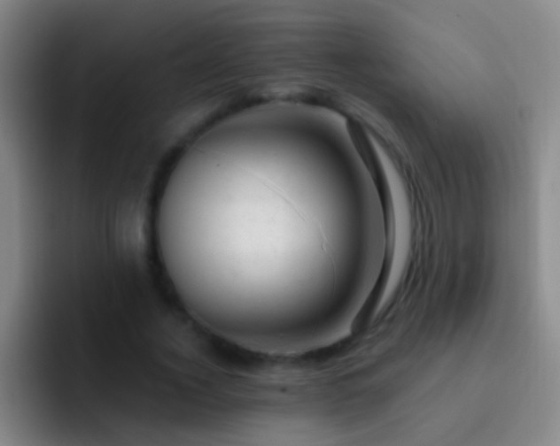 X0000092300732200709211231