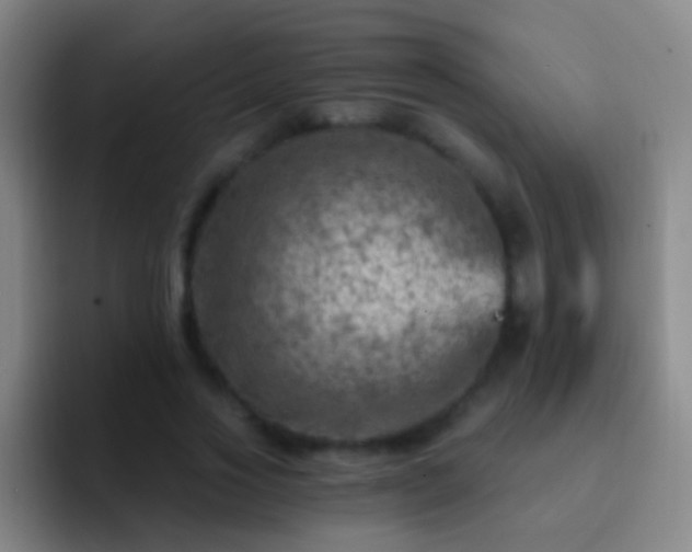 X0000092300733200709211231