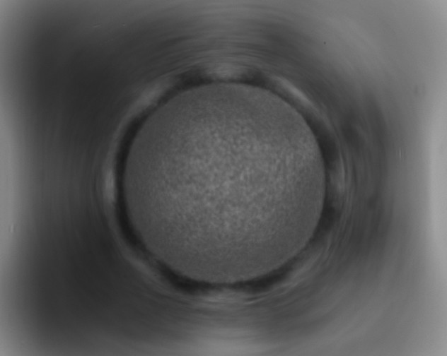 X0000092300734200709211231