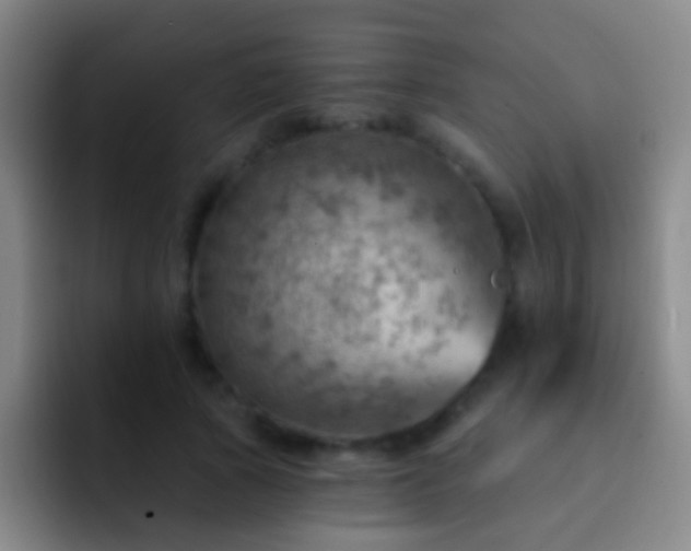 X0000092300737200709211231
