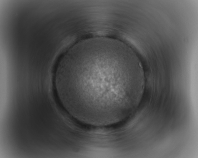 X0000092300738200709211231