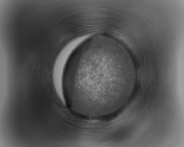 X0000092300741200709211231