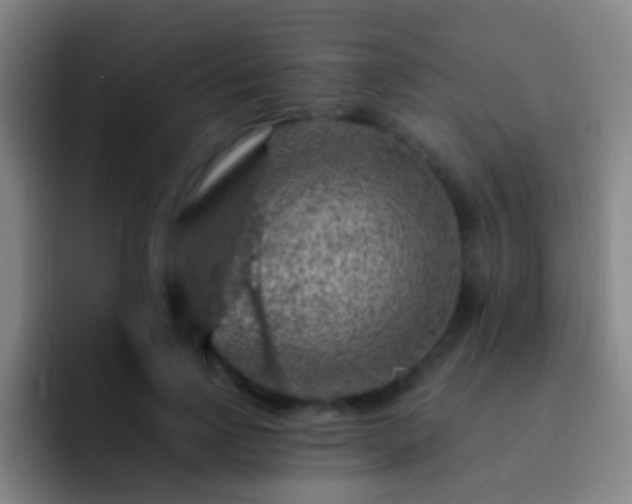 X0000092300742200709211231