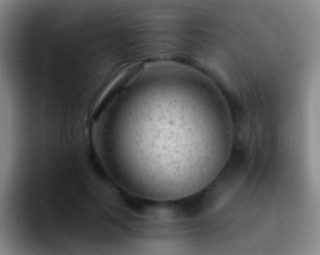 X0000092300743200709211231