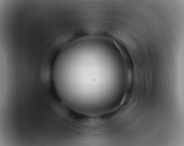 X0000092300744200709211231