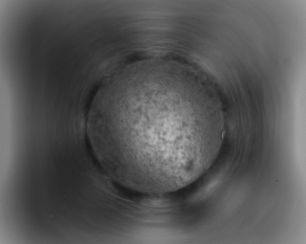 X0000092300745200709211231