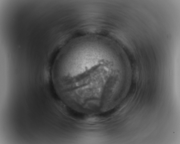 X0000092300746200709211231