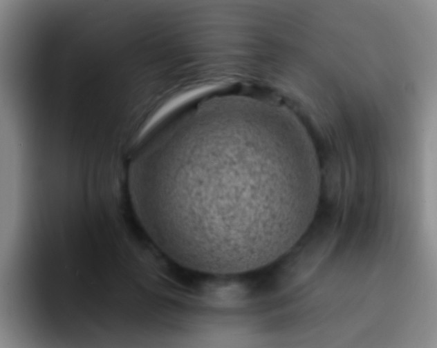 X0000092300747200709211231