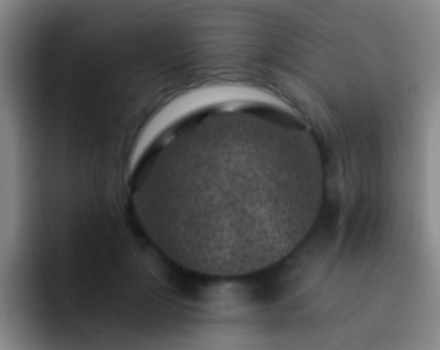 X0000092300748200709211231