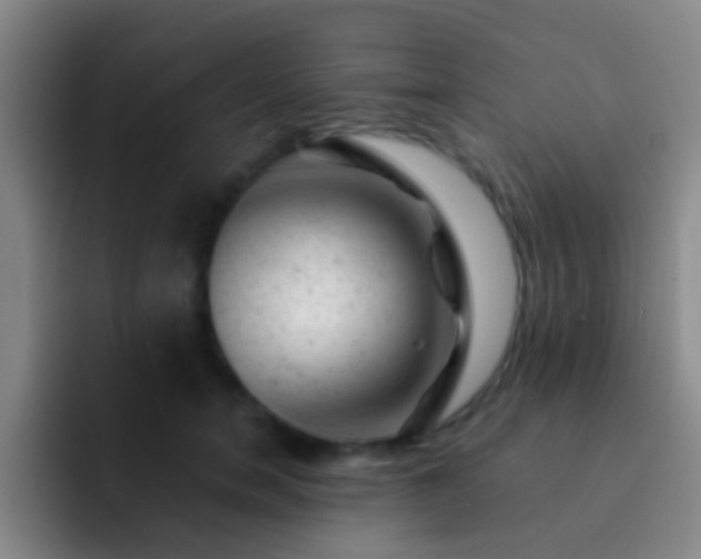 X0000092300750200709211231