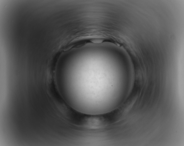X0000092300751200709211231