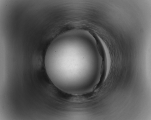 X0000092300752200709211231