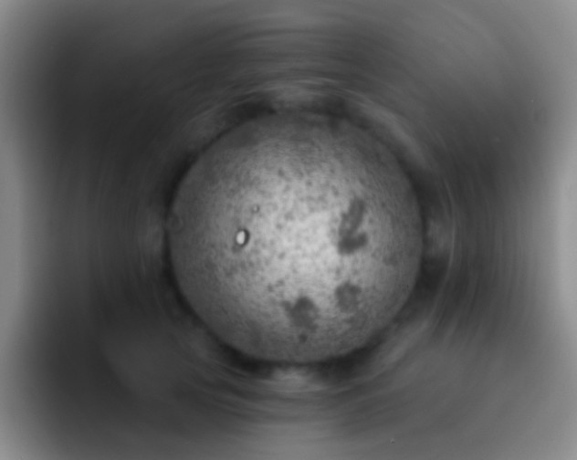 X0000092300753200709211231