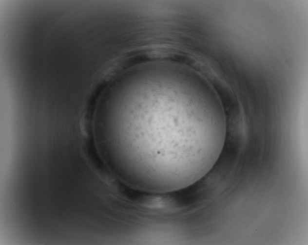 X0000092300755200709211231