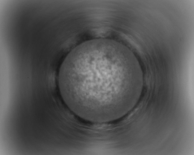 X0000092300757200709211231