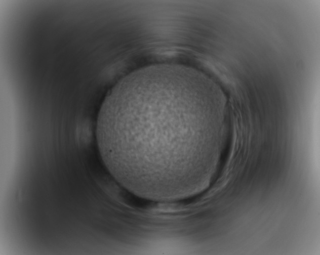 X0000092300758200709211231