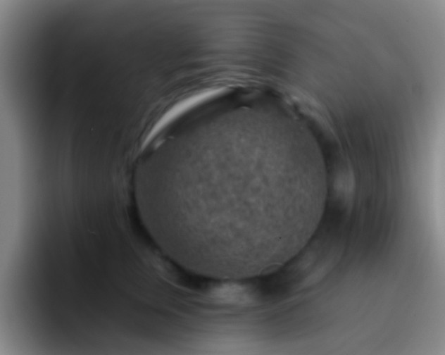 X0000092300759200709211231