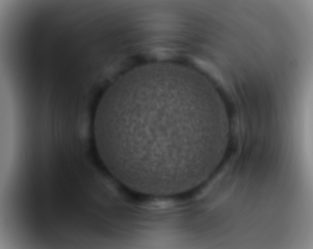 X0000092300760200709211231