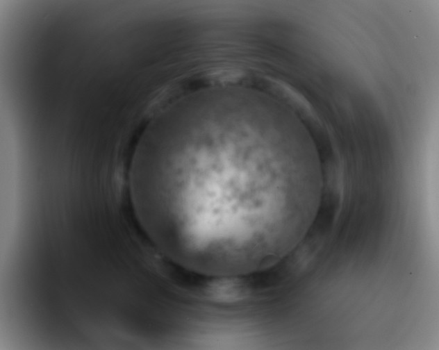 X0000092300761200709211231