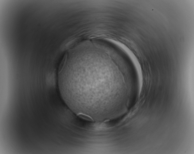 X0000092300762200709211231