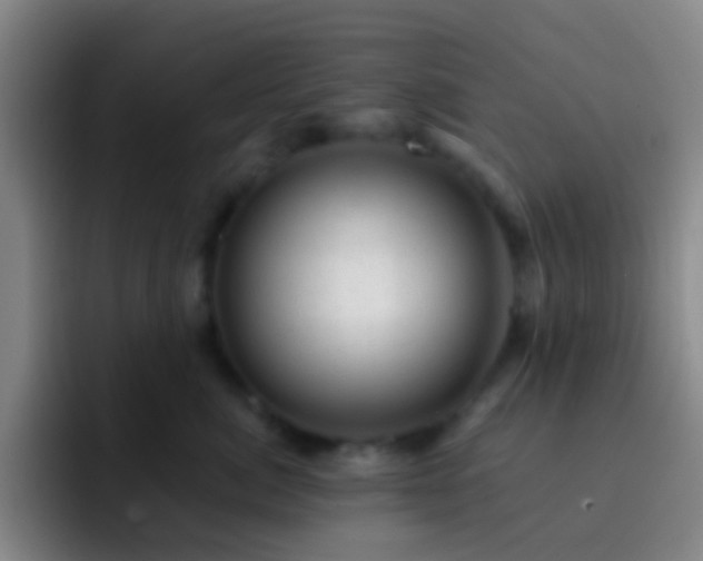 X0000092300764200709211231