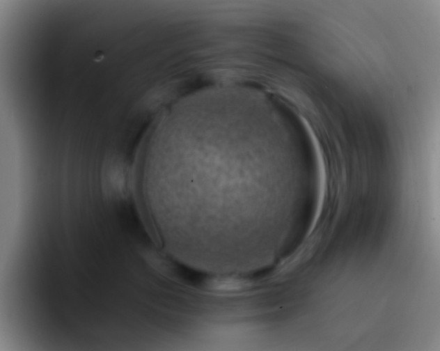 X0000092300766200709211231