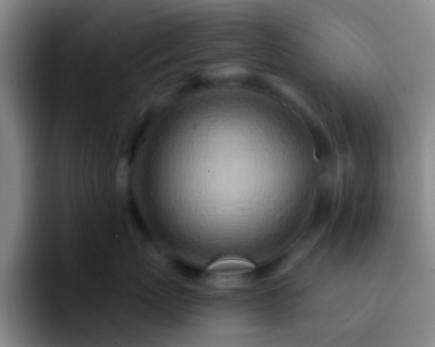 X0000092300767200709211231
