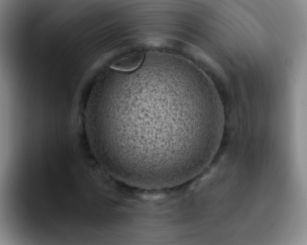 X0000092300776200709211230