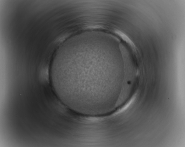 X0000092300777200709211230