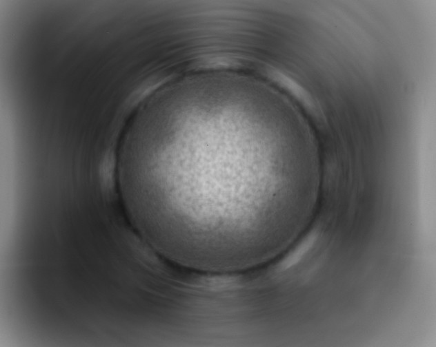X0000092300778200709211230