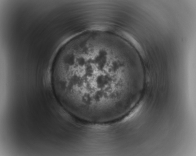 X0000092300779200709211230