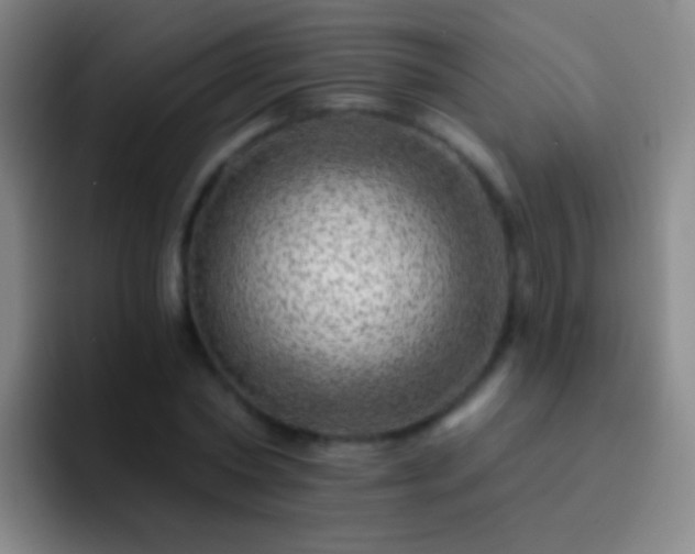 X0000092300782200709211230