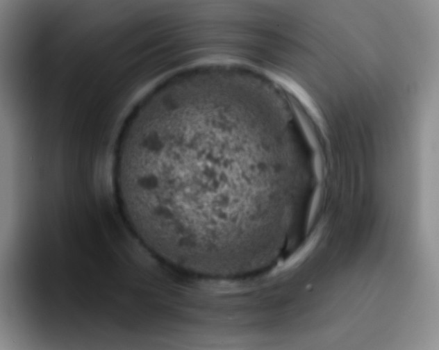 X0000092300783200709211230