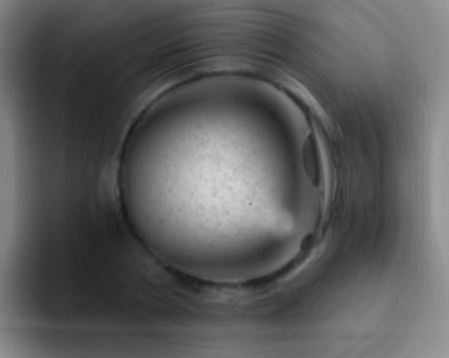 X0000092300786200709211230