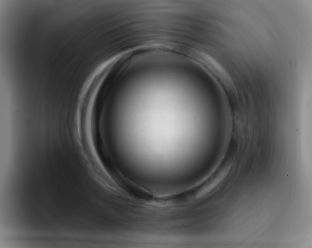 X0000092300788200709211230