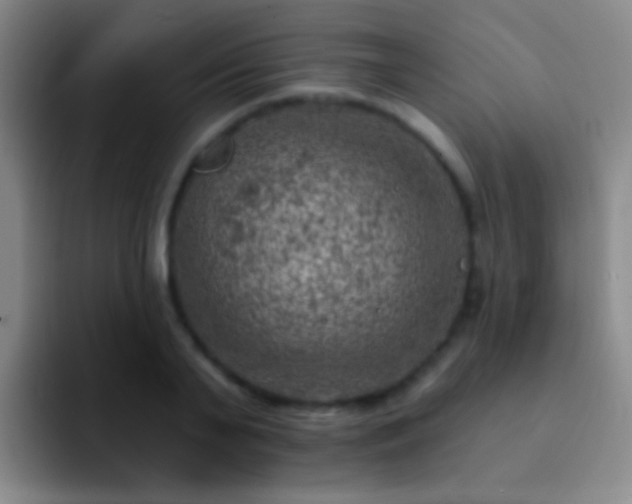 X0000092300791200709211230