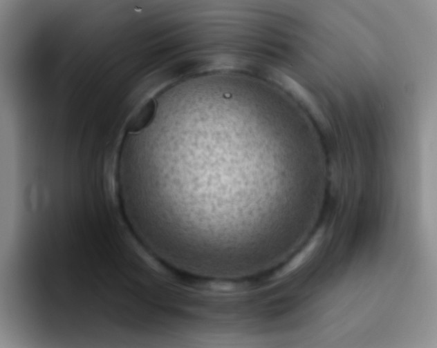 X0000092300794200709211230