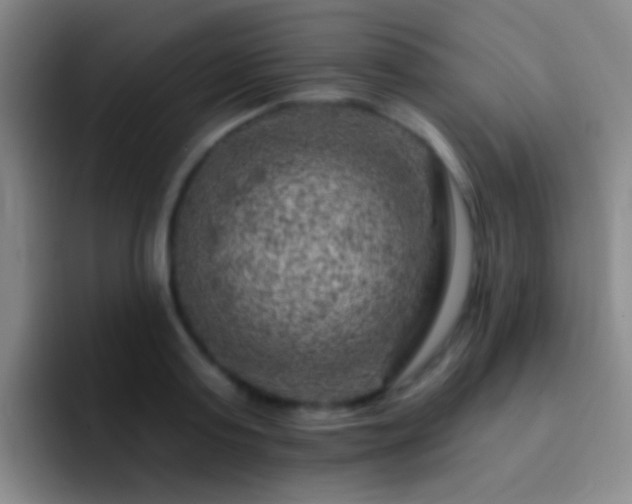 X0000092300795200709211230